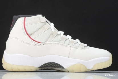 TINT JORDAN 378037-016 AIR 11 PLATINUM 0710
